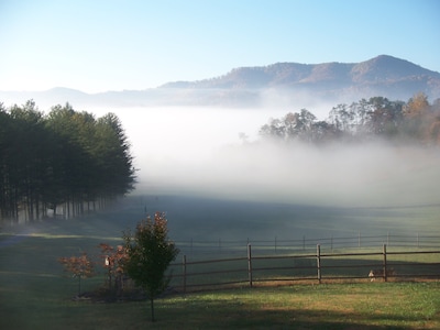 Best Vacation Mountain Experience / ** Forestry Student Special** 