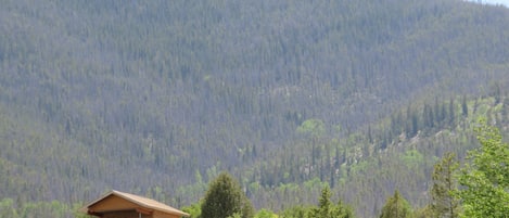 Off grid cabin, privately Located by itself on the ridge.
