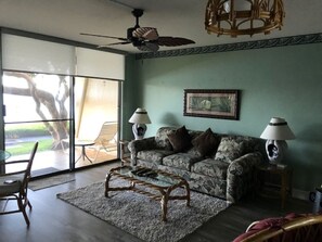 Your living room with queen sized sofa bed.
