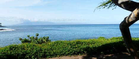 View Honokeana Bay and the island of Lanai from your private lanai.