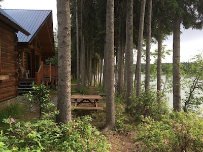 42 Feet of Private Fishing Dock on the Beautiful Kenai River!!!!