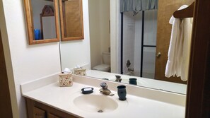 Master en-suite bathroom features tub/shower combo, wide sink, and lush towels.