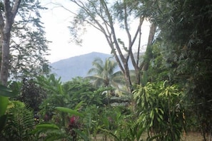 View from screened porch