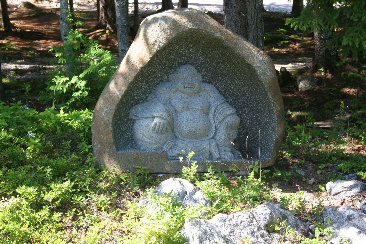 Main Image