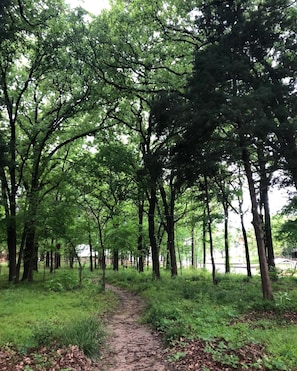 Walking path on the property to the lake