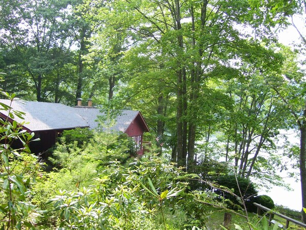 Lakeside Cabin