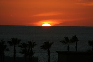 SUNSETS ARE MAGNIFICENT