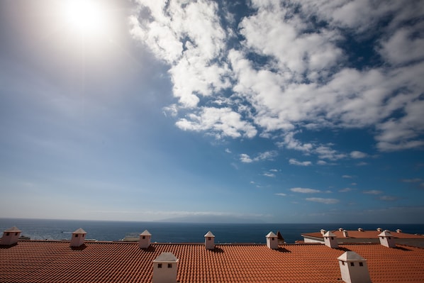 Beach/ocean view