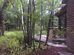 Your hot tub amongst the ferns and trees