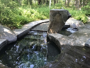 Your private hot tub with cold plunge pool