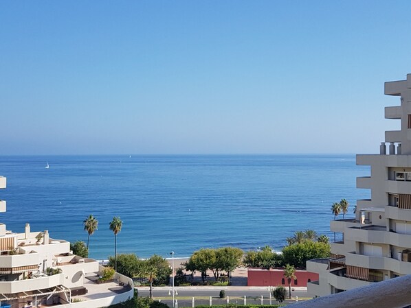 From the Balcony, terrace view