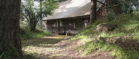 cabin exterior from driveway
