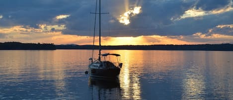 Järvi