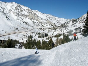 Sneeuw- en skisporten