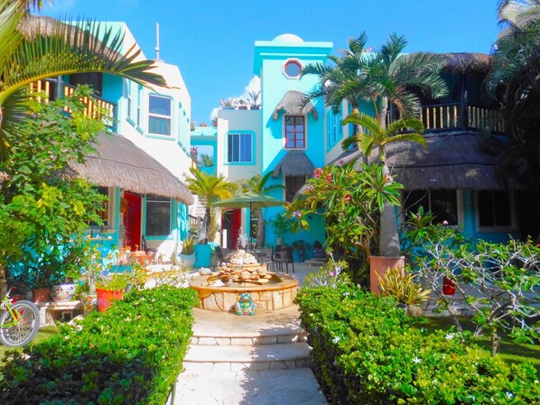 Casa Gatos