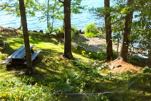 View from Judy's Cabin Porch