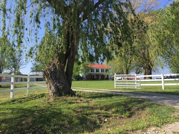 Property grounds