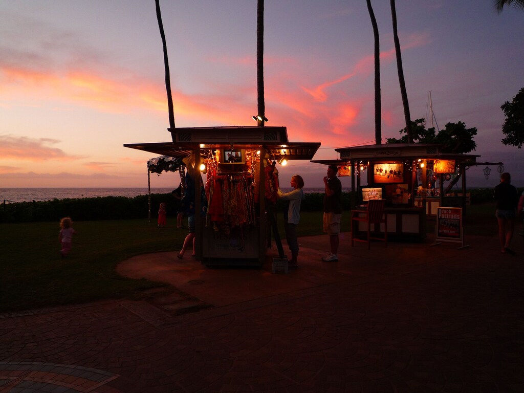Picture of villa