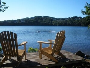 Swim in the crystal clear waters of Scargo Lake