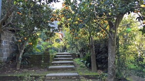 Jardines del alojamiento