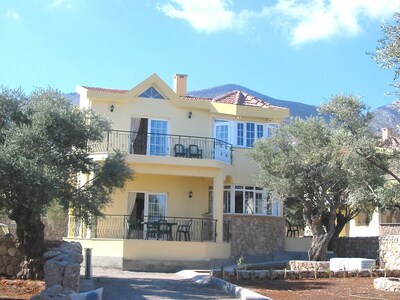 Picture of villa