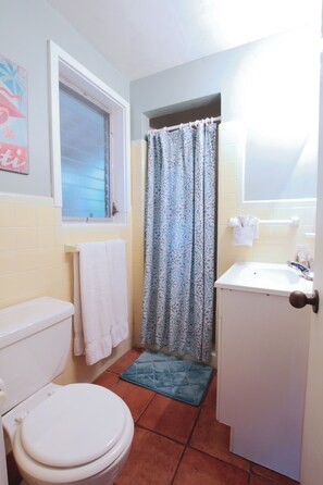Bathroom 1 - Stall shower - ensuite to bedroom 1