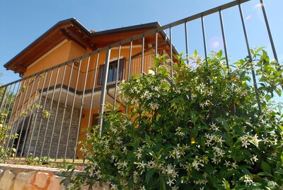 Residence Garden: Three-room apartment with balcony and lake view 