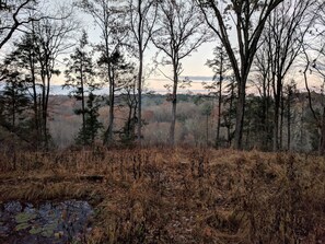 Fall view