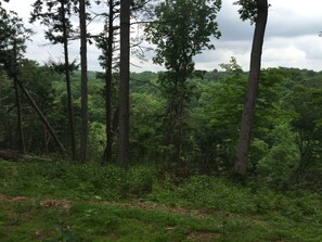 unobstructed view over the creek below