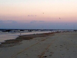 Strand