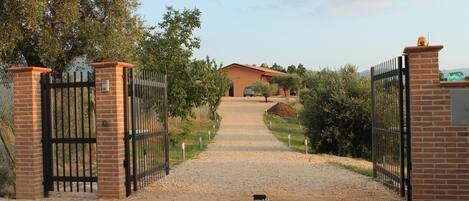 Gate and garden