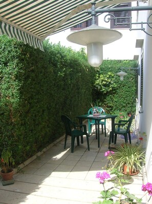the garden