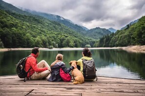 Pet-friendly