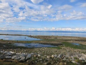 View from patio of beach at low tide in August