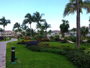 Moon Palace grounds