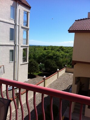 View of nature preserve from living room deck