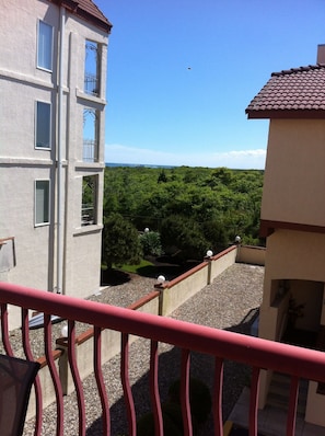 View of nature preserve from living room deck