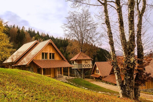 Exteriör