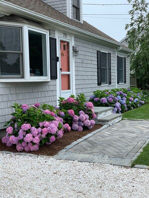 Cape Cod = #hydrangeas!