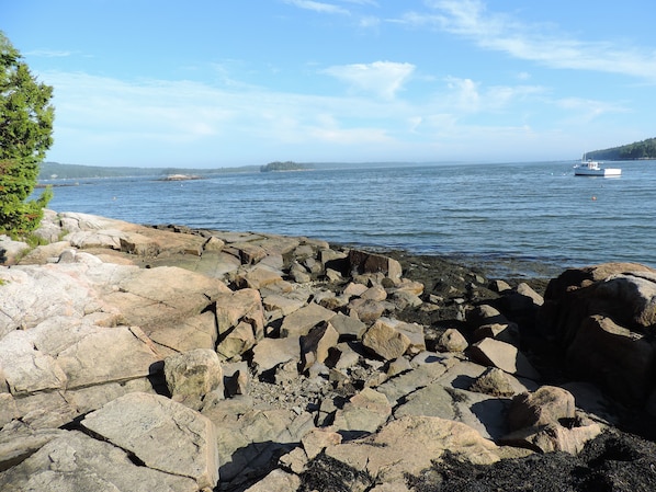 Our view of Dyer Bay and the open ocean