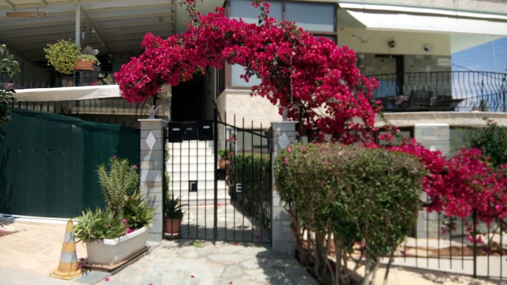 Picture of villa