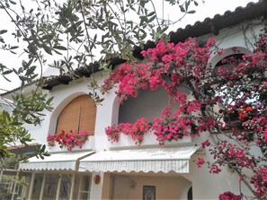 Exterior detail