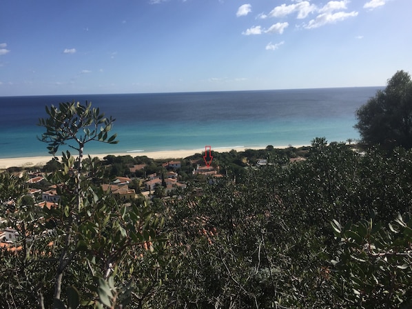 Beach/ocean view