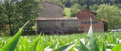 Vista esterna dal campo di granturco