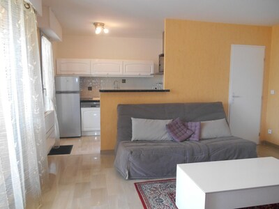 Apartment "Les Palmiers" with golf and swimming pool