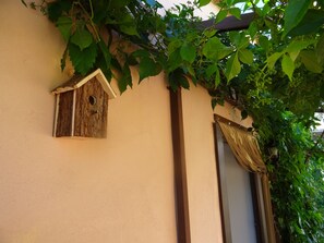 Detalle de la terraza