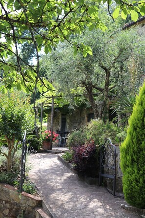 The pathway to the terrace leads on to al fresco dining 
