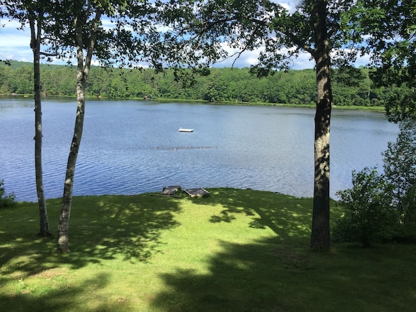 Enjoy your morning coffee with this view from the deck!