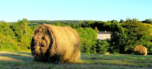 Le Pont D'Albart