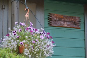 Welcome to Chipmunk Cabin